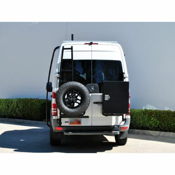 Rear Door Ladder