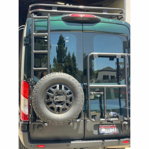 Rear Door Ladder