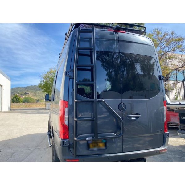 Rear Door Ladder