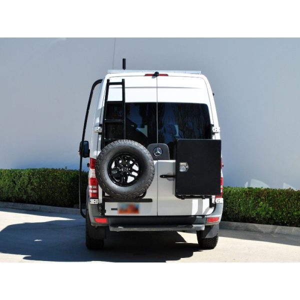 Rear Door Ladder